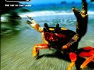 Prodigy - The Fat Of The Land - [Vinyl]