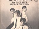 THE YOUNG ONES-RARE PICTURE SLEEVE+ 45--(SOUR GRAPES)--PS--PIC--SLV