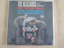 The Blizzards                          I'm Your Guy