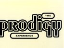 The Prodigy Experience Double LP 2LP Vinyl Gatefold Sealed 12