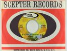 70s Soul Funk 45 - Patti Jo - Ain't No Love Lost - Scepter VG+