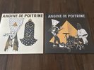 BRAND NEW - ANGINE DE POITRINE Vol. 1 5th press + vol 2 1st press vinyl