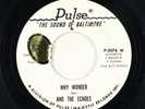 Northern Soul 45 - And The Echoes - Why Wonder - Pulse - promo