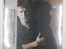DON HENLEY BUILDING THE PERFECT BEAST GEFFEN 28AP2976 LP