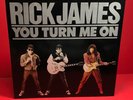 RICK JAMES You Turn Me On - 1984 UK 12