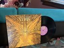 Cynic   Focus   LP   Vinyl   Progressive Death Metal