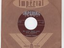TXS. Rockabilly WELDON ROGERS/ROY ORBISON So Long, Good Luck, Goodbye IM- HEAR