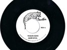 JUNIOR BYLES-PHAROAH HIDING-HAIL TO POWER UPSETTERS -PANTHER USA EX