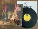 ECHO AND THE BUNNYMEN-CROCODILES LP 1980 STILL IN SHRINK SIRE RECORDS