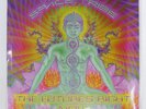 SPACE TRIBE THE FUTURE'S RIGHT NOW SPIRIT ZONEINGS SPIRITZONE044 2x12