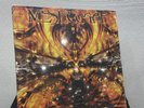 Meshuggah Nothing (Vinyl) 12