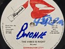 12 INCH SOULFUL ROOTS / BARRINGTON LEVY / THE VIBES IS RIGHT / LIPSTICK / LISTEN