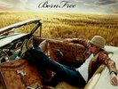 Vtg 2010 KID ROCK Album BORN FREE Record 1ST PRESSING Vinyl 2Lp OOP OG MINT