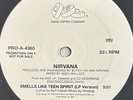 Nirvana - Smells Like Teen Spirit 12