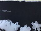 Hope Sandoval & The Warm Inventions - Bavarian Fruit Bread (LP, Album)