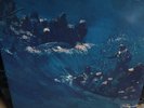 Since I Left You by Avalanches (Record, 2017)