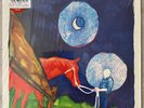 Calexico | Iron And Wine – In The Reins  Vinyl Record LP