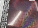 Wilderness Of Mirrors by Black Angels (Record, 2022) - Clear / Red Clear Vinyl