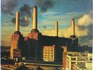 Pink Floyd Animals 