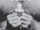Danzig – Danzig Ii: Lucifuge Vinyl Lp Record
