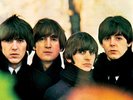 Beatles for Sale by The Beatles (Barely Used LP, 2012)