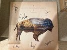 Arrow by Heartless Bastards Autographed ( Record, 2012) VG+