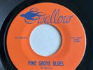 Nathan Abshire 45-10175 Swallow A Musician’s Life / Pine Grove Blues VG+++