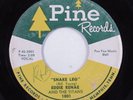 R&B Sax Rocker 45 EDDIE RENAE & THE TITANS Snake Leg PINE HEAR o