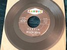 Beach Boys: Surfin'/Luau 45 Candix 301 rare debut VG+