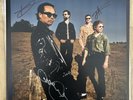 SIGNED IMPORT  Temper Trap Sungazer LP Australia  (Dawn) LP Vinyl NEW