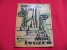 LED ZEPPELIN black dog THE FORTUNES freedom come RARE 1970s POLISH FLEXI