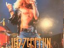 Led Zeppelin Teddy Bears' Picnic Gold Colored Vinyl 12