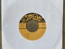 EDDIE VEDDER Wildflowers 7