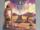 THOSE DAMN CROWS  God Shaped Hole 2025 ROCK LP sealed VINYL Record NEW