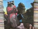 J.J. Cale - Naturally VINYL LP RECORD ALBUM Ultrasonic Cleaned VG+