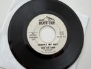 The Ad Libs I'm Just A Down Home Girl / Johnny My Boy 7” 45 Vinyl Blue Cat 1965