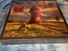 Rush Signals: 40th Anniversary (Vinyl) Super Deluxe  12