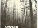 THE CURE -A Forest- Rare Original UK 12” +  Picture Sleeve (Vinyl Record)