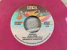 Orquesta Hanover Indio de Raza Mayor Libra Vinyl 7