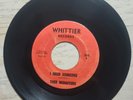 THEE MIDNITERS I Need Someone Strangers In The Night WHITTIER 202 45