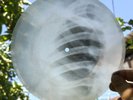Rare Soviet X-Ray Bone RecordOriginal USSR Rib Disc – VintageMusic Artifact