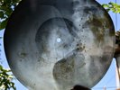 Rare Soviet X-Ray Bone RecordOriginal USSR Rib Disc – VintageMusic Artifact