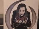 A Perfect Circle Eat the Elephant Vinyl Double LP 12