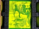 alice in chains self titled  / Tripod 30th Year Anniversary Boxset .