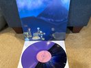 Pokémon Legends: Arceus video game not moonshake vinyl lp