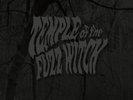 Temple Of The Fuzz Witch