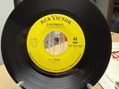 Elvis Presley RCA 47-9465 Promo. U.S. MALE/Stay Away. W/ Picture Sleeve