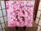 GARBAGE Garbage Debut Album Box Set 6 x 7