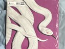 Deftones Private Music 12