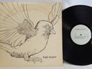 Take Flight - Self Titled LP - OG Private Press Femme Folk Psych - Rare  VG+